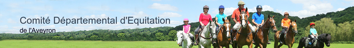 Comité Départemental d'Equitation